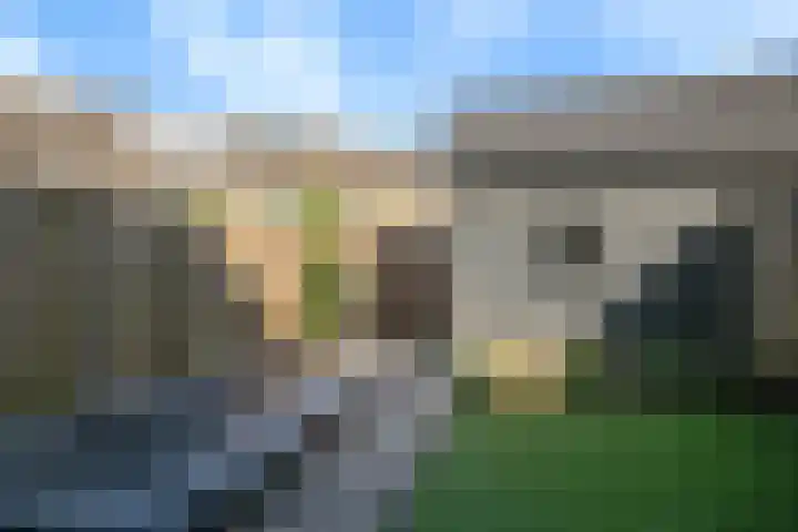 Tarweakker 29 Heino thumbnail 31
