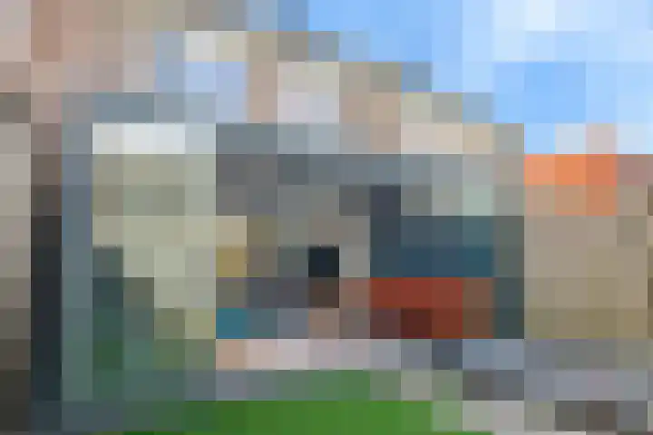 Tarweakker 29 Heino thumbnail 32