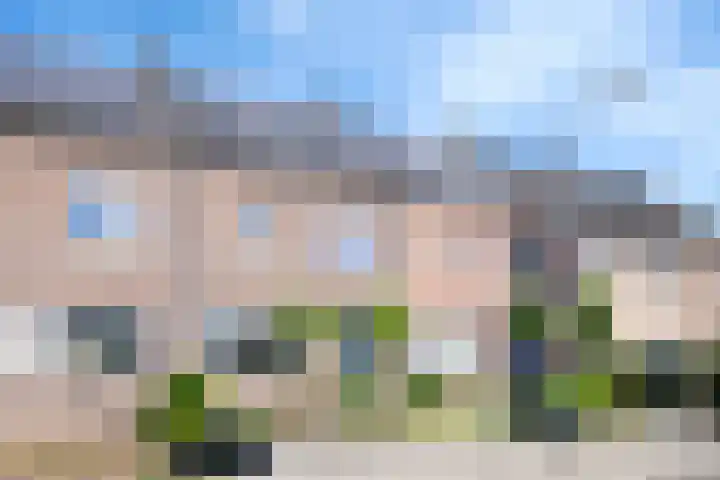 Tarweakker 29 Heino thumbnail 33