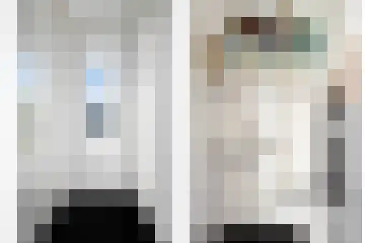 Tarweakker 29 Heino thumbnail 4