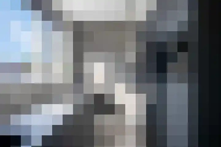 Tarweakker 29 Heino thumbnail 7