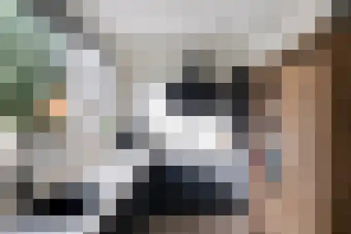 Tarweakker 31 Heino thumbnail 12