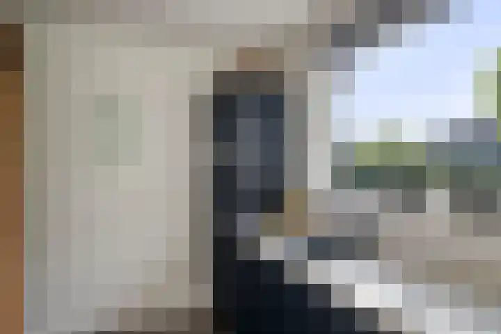 Tarweakker 31 Heino thumbnail 13
