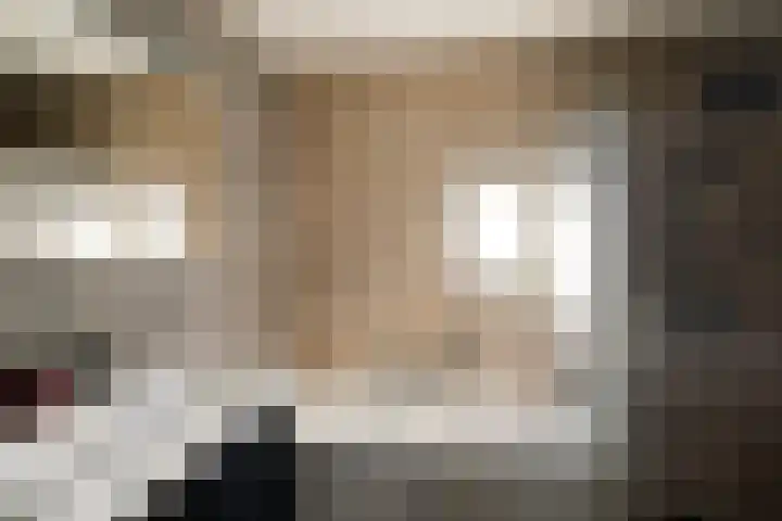 Tarweakker 31 Heino thumbnail 19