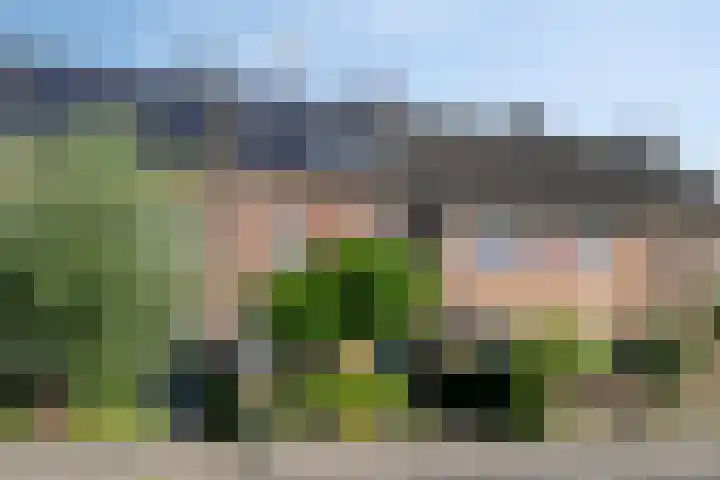 Tarweakker 31 Heino thumbnail 39