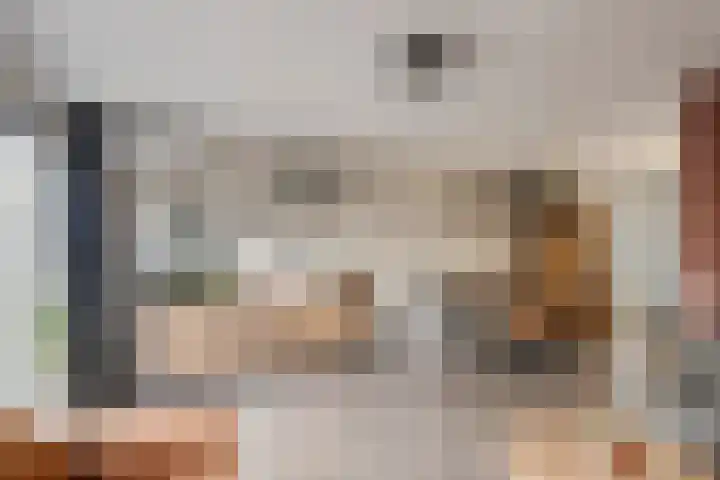 Tarweakker 31 Heino thumbnail 9