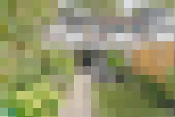 Tarweakker 6 Waddinxveen