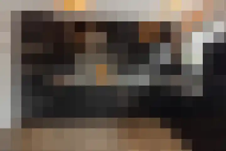Tarweakker 7 Nuland thumbnail 11