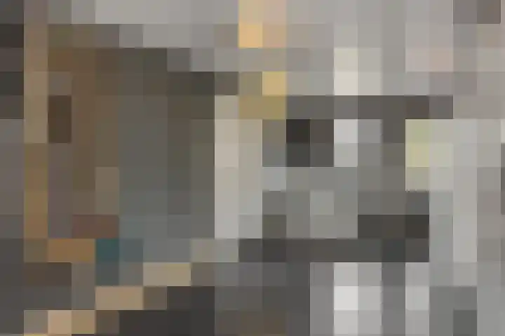 Tarweakker 7 Nuland thumbnail 14