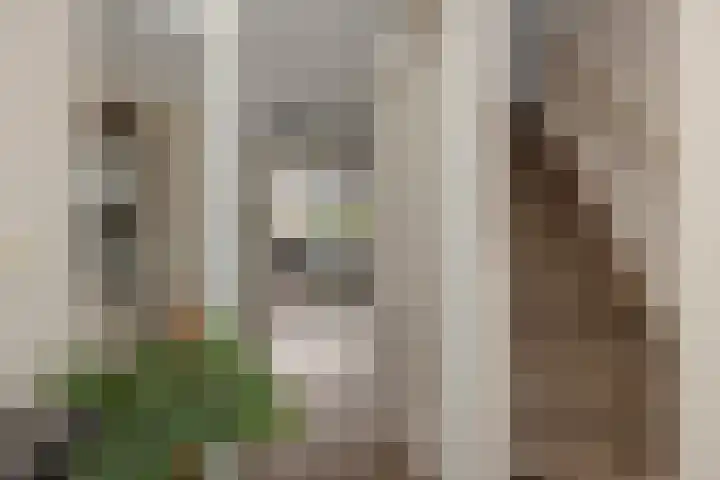 Tarweakker 7 Nuland thumbnail 15