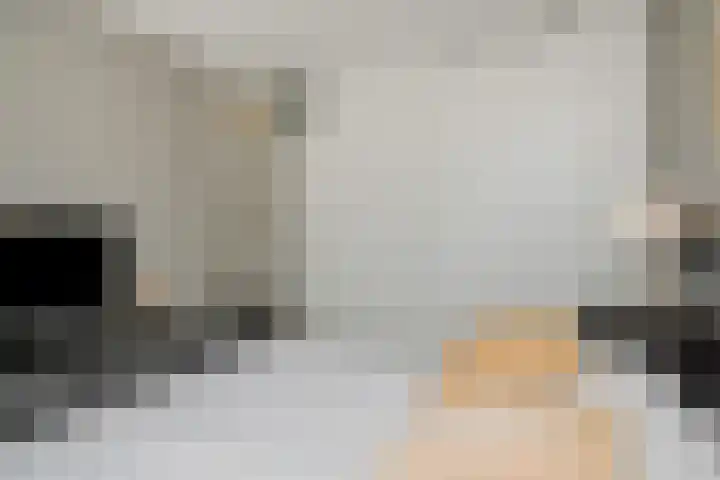 Tarweakker 7 Nuland thumbnail 18