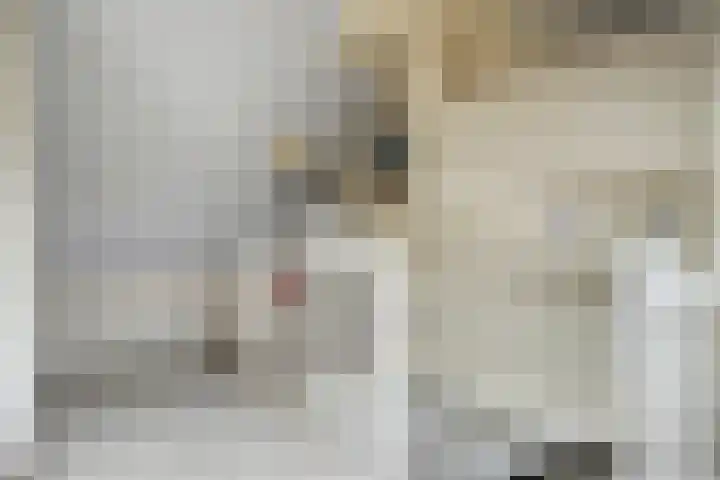 Tarweakker 7 Nuland thumbnail 19