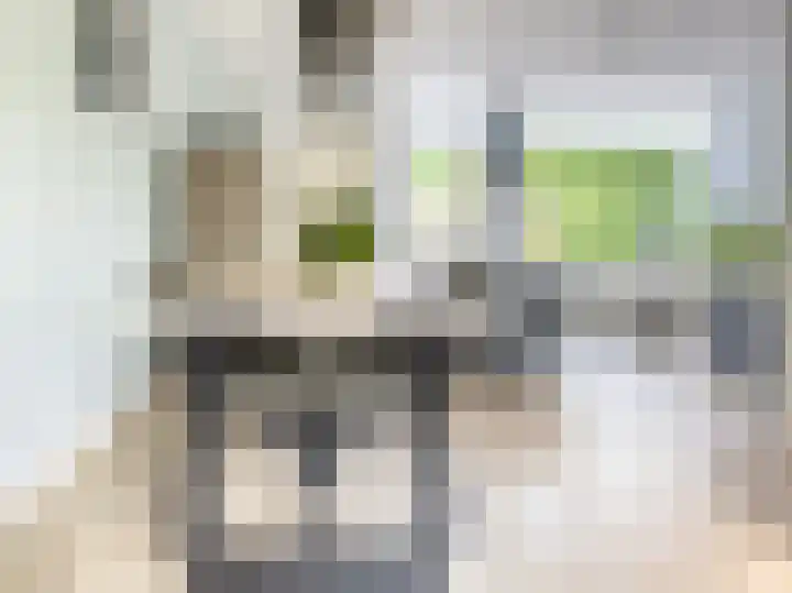 Tarweakker 7 Nuland foto 2