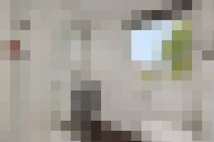 Tarweakker 7 Nuland thumbnail 22