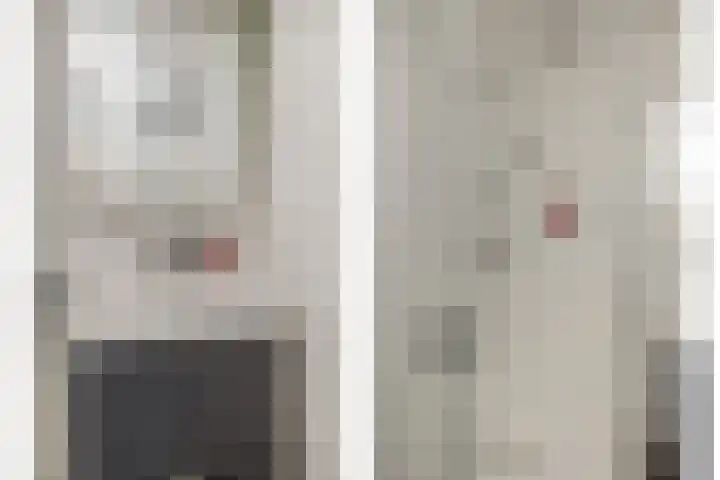 Tarweakker 7 Nuland thumbnail 23