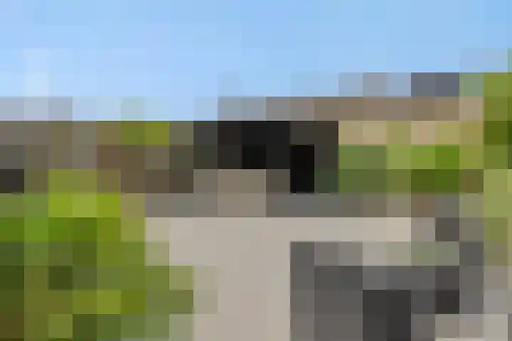 Tarweakker 7 Nuland thumbnail 29