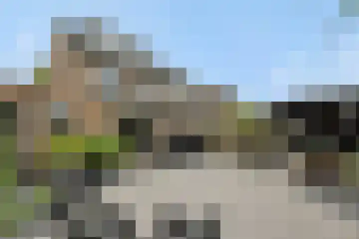 Tarweakker 7 Nuland foto 3