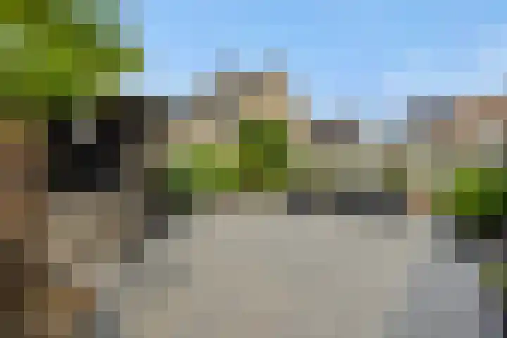 Tarweakker 7 Nuland thumbnail 30