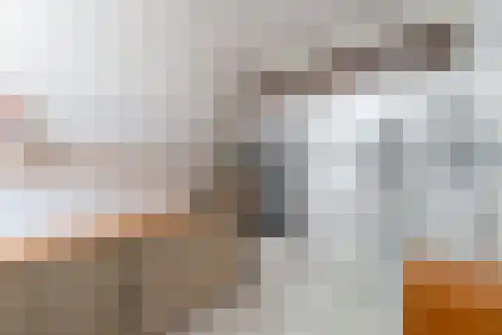 Tarweakker 7 Nuland thumbnail 31