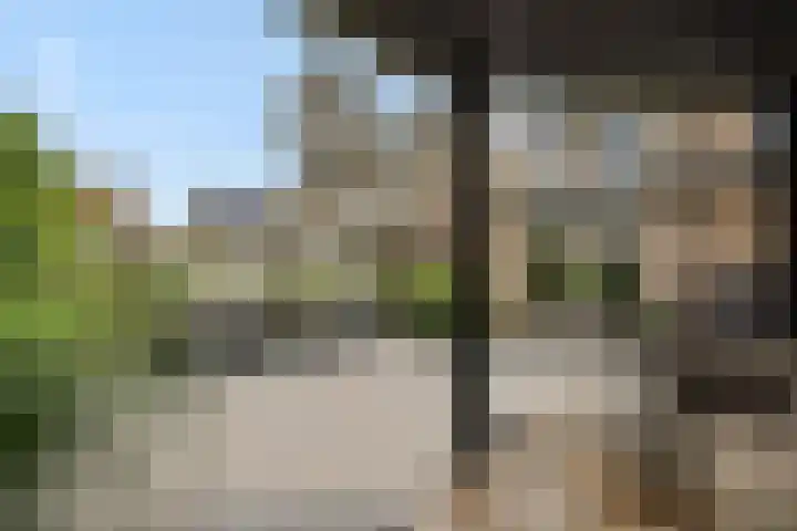 Tarweakker 7 Nuland thumbnail 31