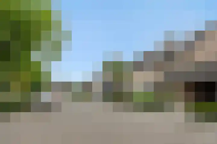 Tarweakker 7 Nuland thumbnail 33