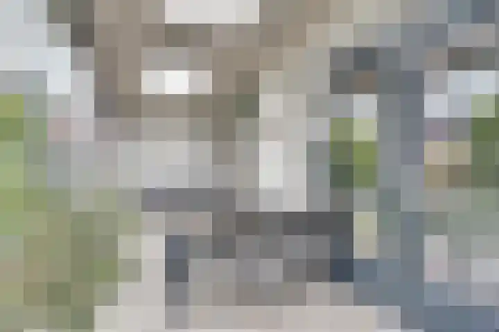 Tarweakker 7 Nuland thumbnail 36