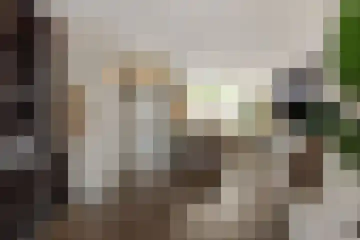 Tarweakker 7 Nuland thumbnail 4