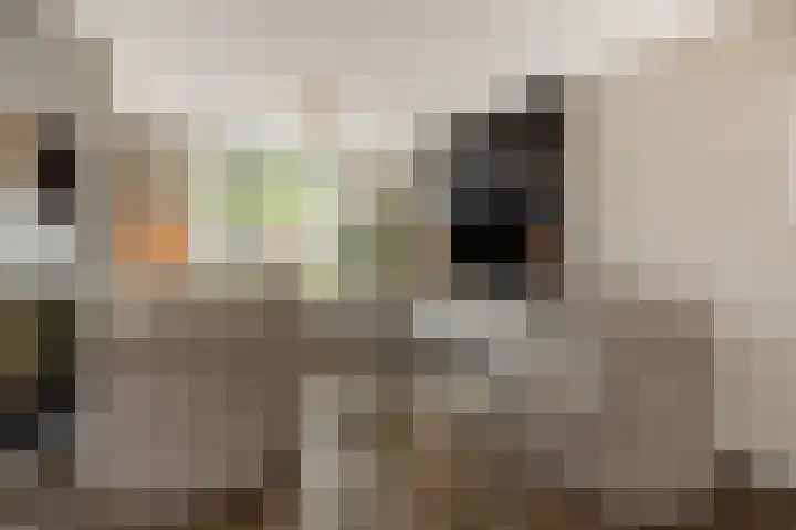 Tarweakker 7 Nuland thumbnail 6