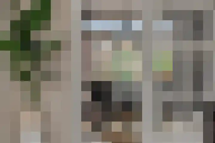 Tarweakker 7 Nuland thumbnail 8