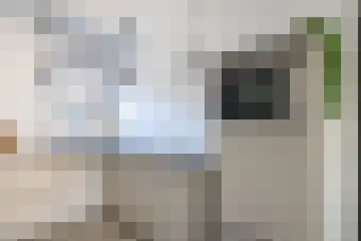 Tarweakker 70 Zoetermeer thumbnail 17