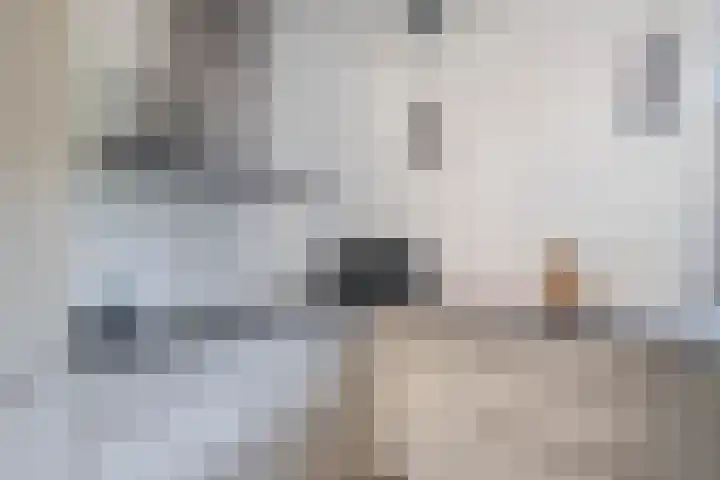 Tarweakker 70 Zoetermeer thumbnail 18