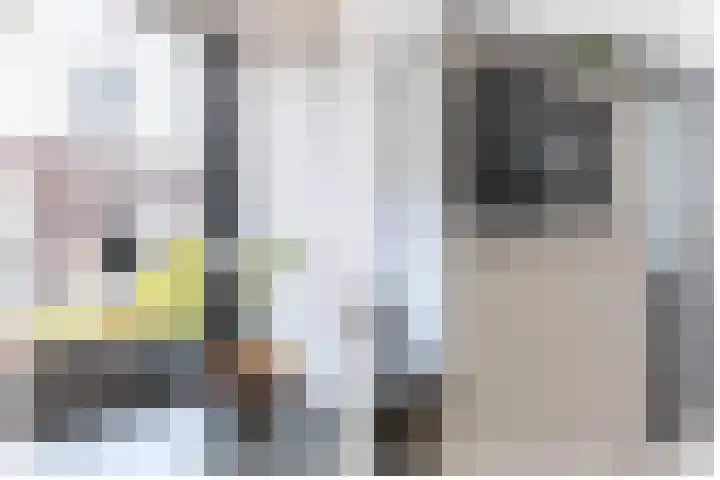 Tarweakker 70 Zoetermeer thumbnail 20