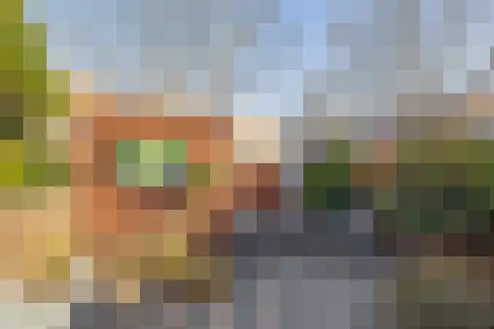 Tarweakker 70 Zoetermeer thumbnail 21