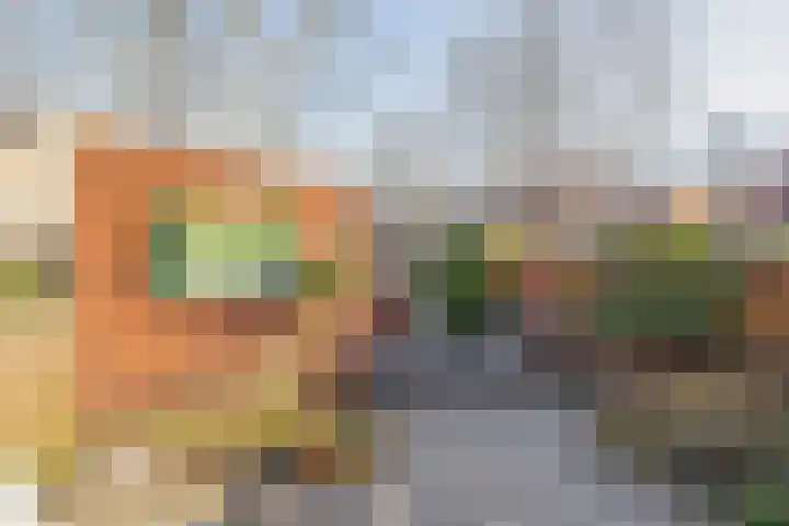 Tarweakker 70 Zoetermeer thumbnail 22