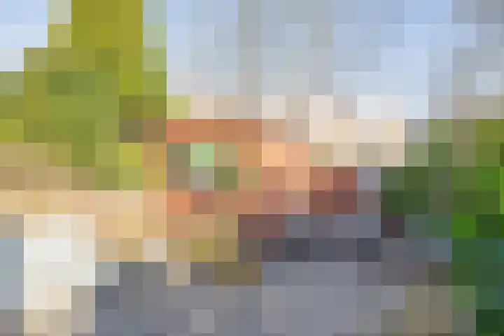 Tarweakker 70 Zoetermeer thumbnail 23