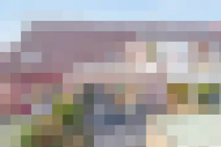 Tarweakker 70 Zoetermeer thumbnail 24