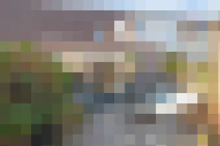 Tarweakker 70 Zoetermeer thumbnail 25