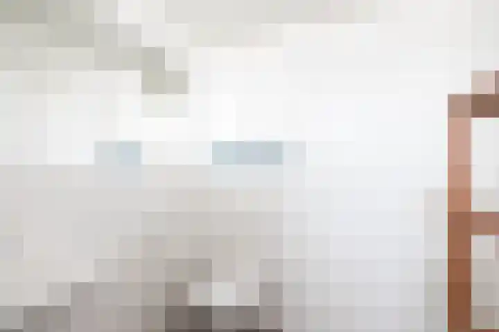 Tarweakker 70 Zoetermeer thumbnail 30