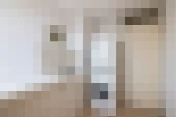 Tarweakker 70 Zoetermeer thumbnail 38