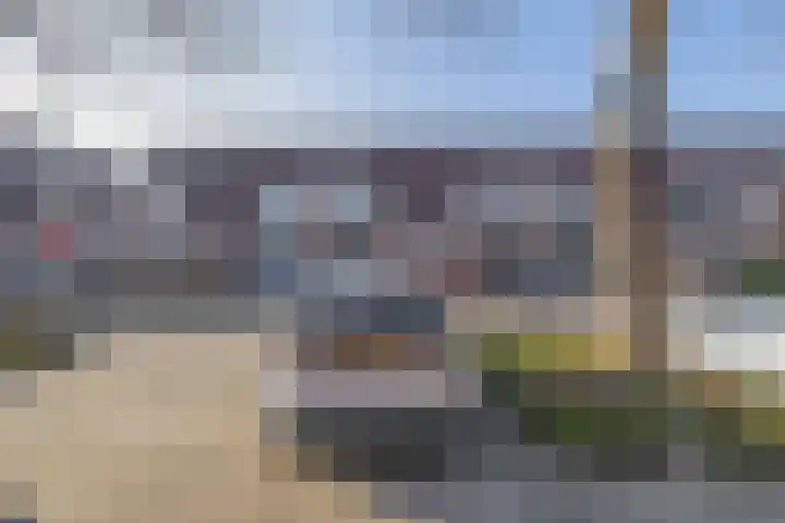 Tarweakker 70 Zoetermeer thumbnail 39