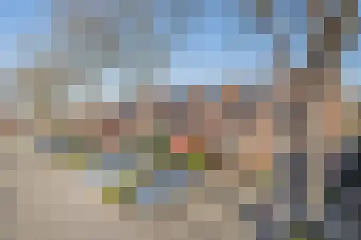 Tarweakker 70 Zoetermeer thumbnail 4