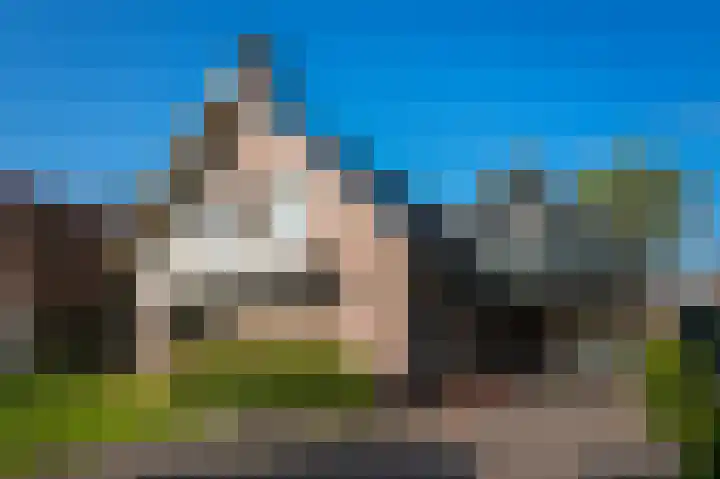 Tarweakker 70 Zoetermeer thumbnail 41