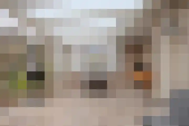 Tarweakker 70 Zoetermeer thumbnail 43