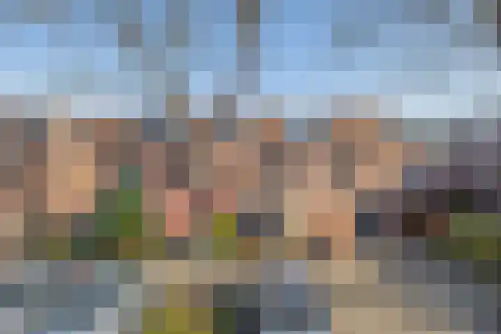 Tarweakker 70 Zoetermeer thumbnail 5