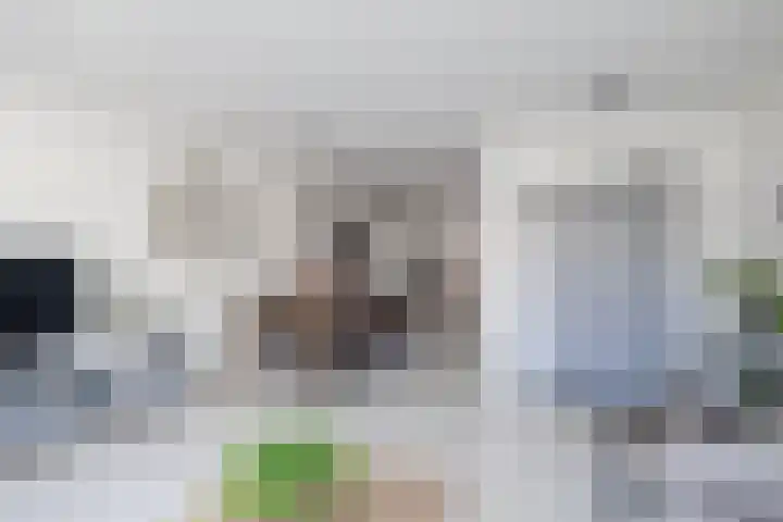 Tarweakker 70 Zoetermeer thumbnail 50
