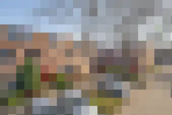 Tarweakker 70 Zoetermeer thumbnail 6