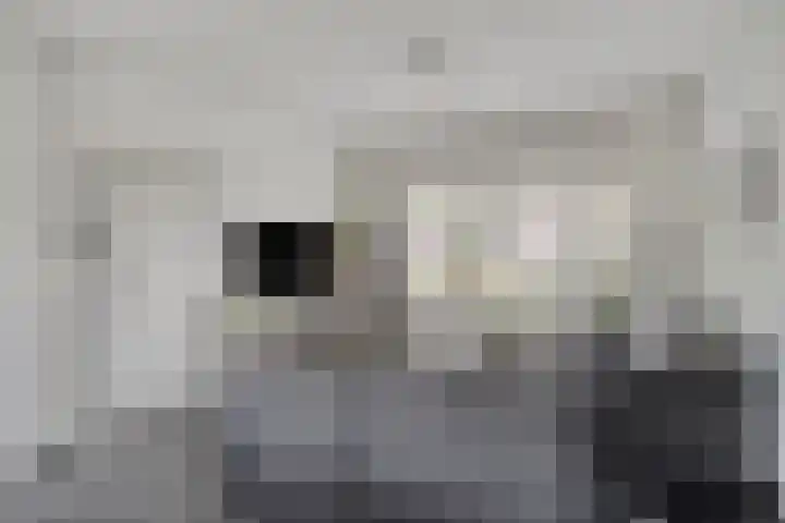 Tarweakker 70 Zoetermeer thumbnail 7