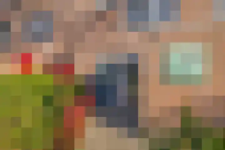 Tarweakker 70 Zoetermeer thumbnail 7