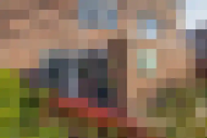 Tarweakker 70 Zoetermeer thumbnail 8