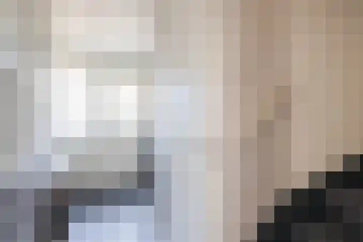 Tarweakker 70 Zoetermeer thumbnail 9